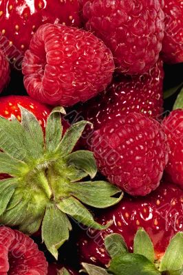 close up image of red raspberries