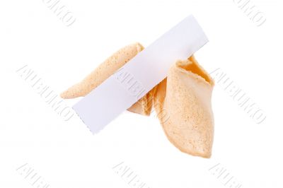 fortune cookies with blank sheet of paper