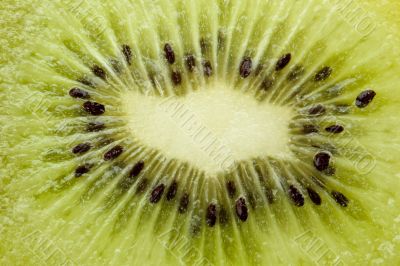 macro image of kiwi
