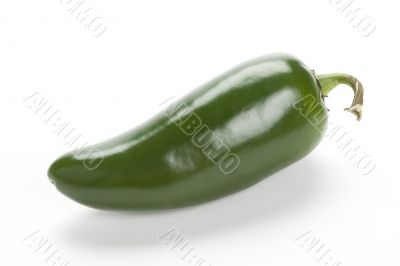 jalapeno on white