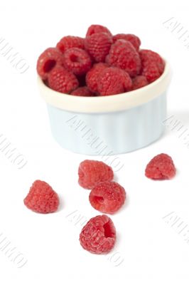 raspberries in white background