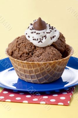 a wafer bowl with ice cream