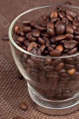 coffee beans in a glass container