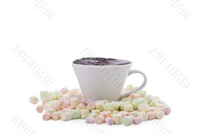 hot chocolate with marshmallows 