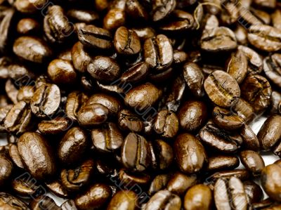 Coffee Bean Pile