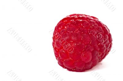 close up image of raspberry