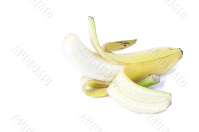 close up image of banana