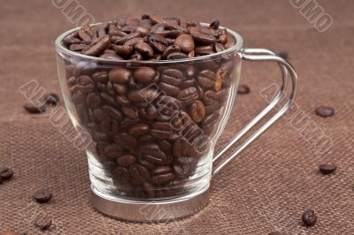 coffee beans in a pitcher