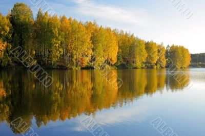 Autumn. Trees reflected in water