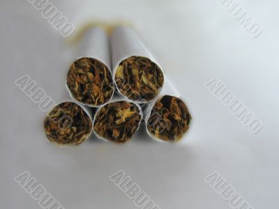 Five cigarettes on the white background