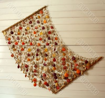 Souvenir - sea shells