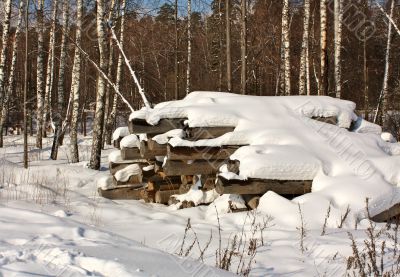 logs in the snow