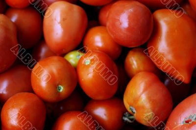 Red tomatoes