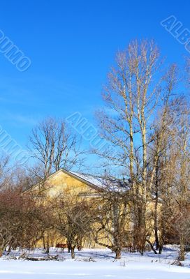 house behind the trees