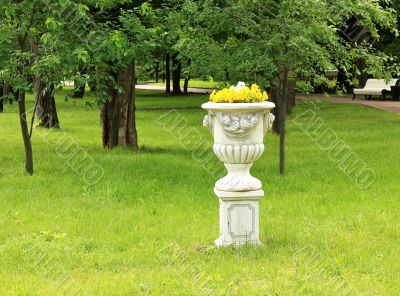 Vase with flowers