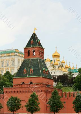 Domes of Moscow Kremlin