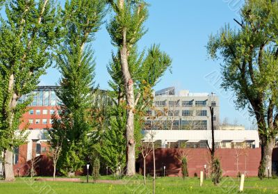 Buildings behind the red fence