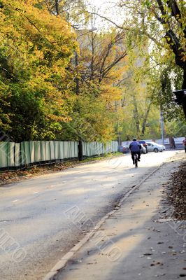 in a Moscow park,autumn