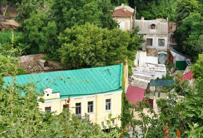 Old houses among green trees