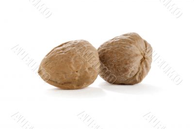 close up image of walnuts