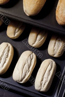 fresh baked buns