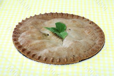 close up of a pie