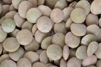 vegetable beans