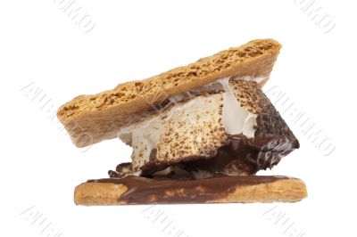 close up image of smore