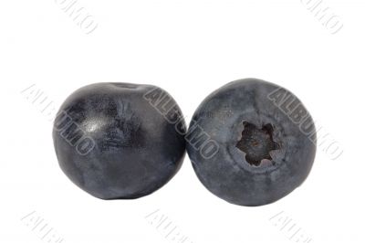 close up image of two blueberries