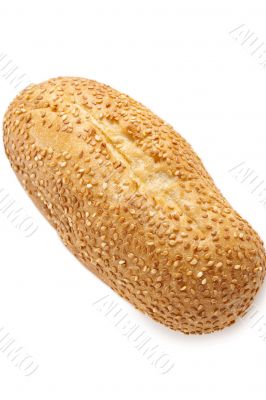 fresh bread