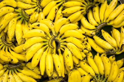 banana bunches