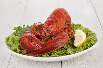 delicious lobster in plate with lemon slice