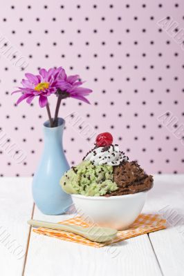 a bowl with mint and chocolate ice cream