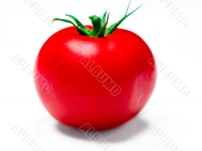 single tomato