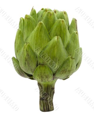 Whole Artichoke