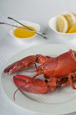 appetizing lobster dish