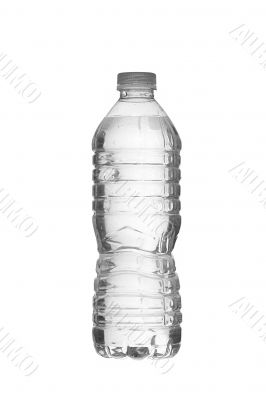 bottled water