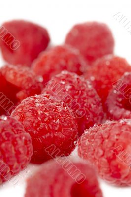 fresh raspberry fruits
