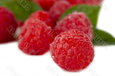 juicy raspberries