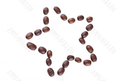 various brown beans