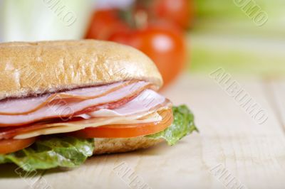 sandwich on close up