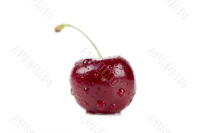 fresh cherry
