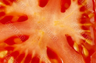 macro image of slice tomato 