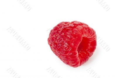 single raspberry