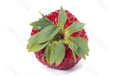 strawberry on a white background 
