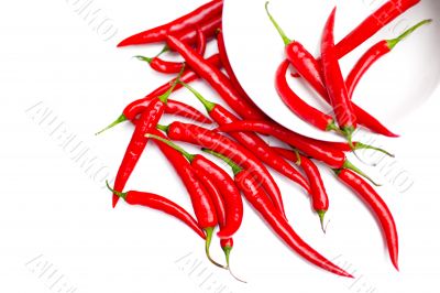 Scattered Chilli Peppers