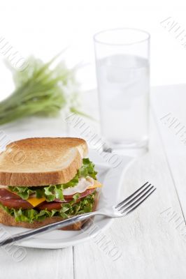 ham sandwich with toasted bread in plate with spoon