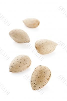 group of almonds