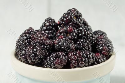 blackberries
