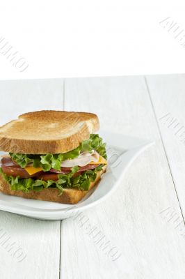 ham sandwich with toasted bread on white plate